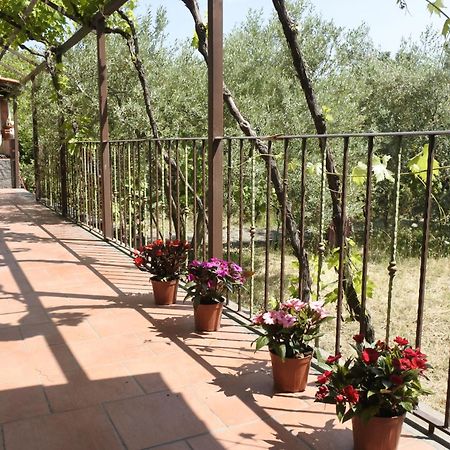 Casa Vacanza Etna Evergreen Villa Piedimonte Etneo Exterior photo