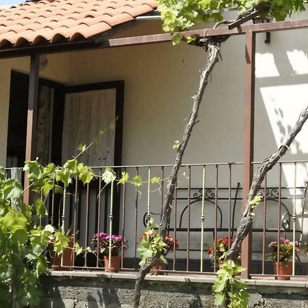 Casa Vacanza Etna Evergreen Villa Piedimonte Etneo Exterior photo