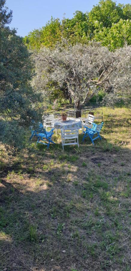 Casa Vacanza Etna Evergreen Villa Piedimonte Etneo Exterior photo