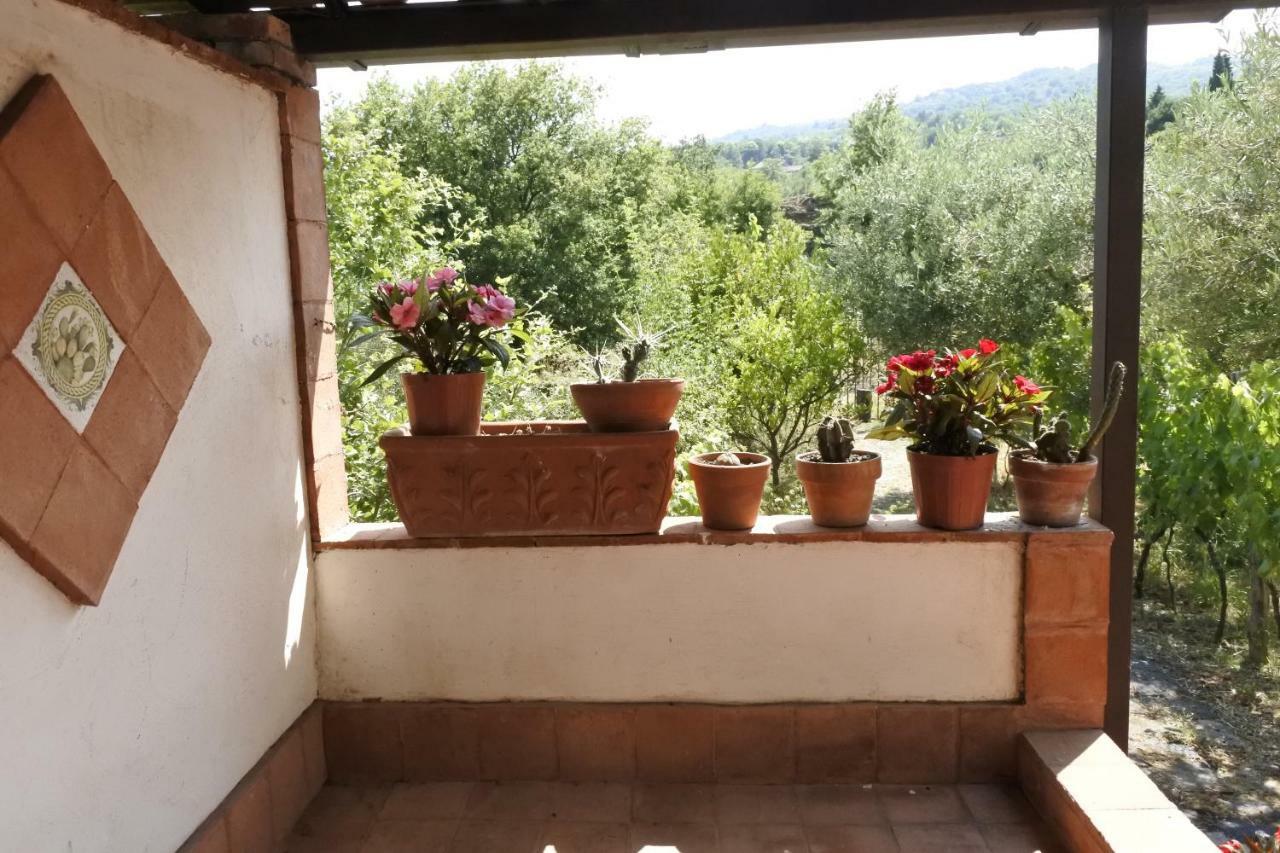 Casa Vacanza Etna Evergreen Villa Piedimonte Etneo Exterior photo