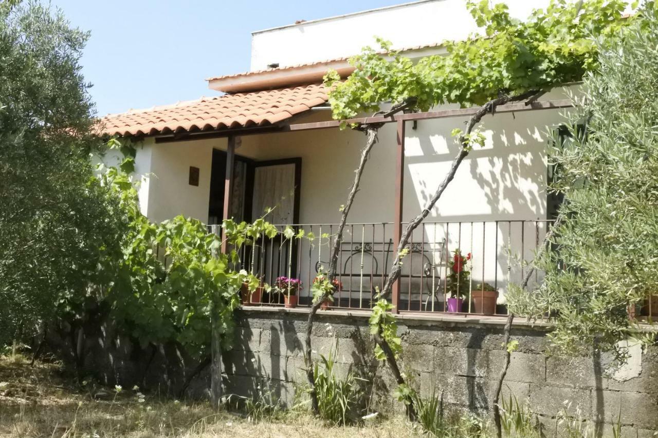 Casa Vacanza Etna Evergreen Villa Piedimonte Etneo Exterior photo